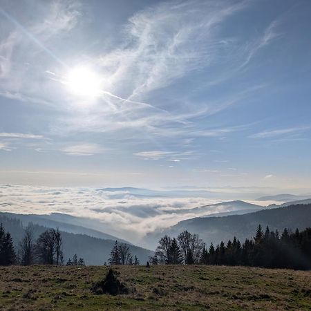 Glatzl Trahuetten Alm Sankt Lorenzen am Wechsel Exteriér fotografie
